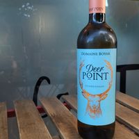 Vegan wine at Cafe Thrive in Southampton