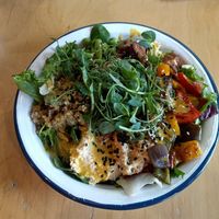 Dragon protein bowl at Cafe Thrive in Southampton
