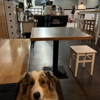   at Swing Kitchen - Kaiserfeldgasse in Graz