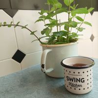   at Swing Kitchen - Kaiserfeldgasse in Graz