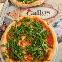  at Pizzeria Gallus in Bled