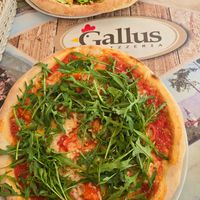  at Pizzeria Gallus in Bled