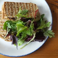 Vegan cheese toasties! at Island Cafe in Marazion