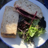 Beetroot and vegan cheese at Island Cafe in Marazion