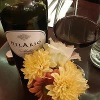 Vegan Malbec at Veginity in Dublin