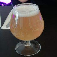 Homemade kombucha at Veginity in Dublin