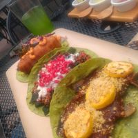 Not fish, Chile en nogada (special of the day) & mole tacos at Tacogreen in Queretaro