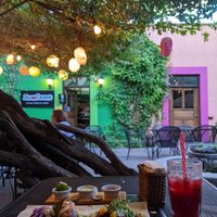  at Tacogreen in Queretaro