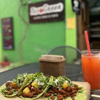   at Tacogreen in Queretaro