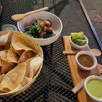 Spirulina guacamole, salsas at Tacogreen in Queretaro
