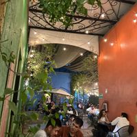   at Tacogreen in Queretaro