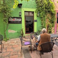 Tacogreen 💜 at Tacogreen in Queretaro