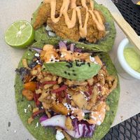   at Tacogreen in Queretaro