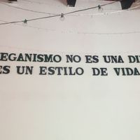 Decor at Tacogreen in Queretaro