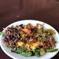 Dagens lunch at Café Nowhere in Enskede