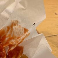 Shall I mention the MANY fruit flies?  at Holy Moly in Lille