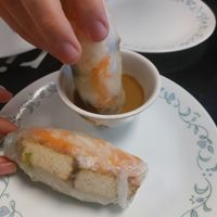 Spring rolls with tofu at Sticky Rice Cafe in Knoxville