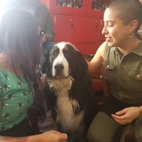 Nuestros amigos perrunos son bienvenidos! at La Cerveseria Clandestina in Barcelona