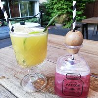 Vegan cocktails at Revolucion de Cuba in Norwich