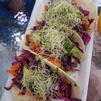 Tacos at Bori Vegan in Guaynabo