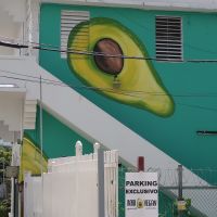 Avocado painting on side of Bori Vegan building at Bori Vegan in Guaynabo