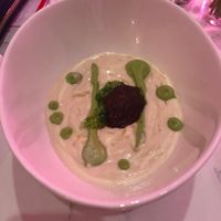 Cashew  at P.S. Kitchen in New York City