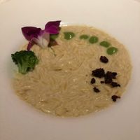 Orzo alfredo at P.S. Kitchen in New York City