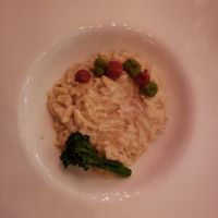 Orzo at P.S. Kitchen in New York City