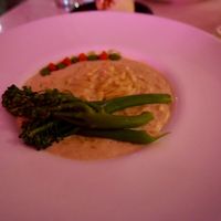 Orzo Alfredo at P.S. Kitchen in New York City