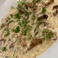   at Ulla Winbladh in Stockholm