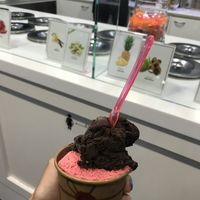 Vegan dark chocolate ice cream & raspberry sorbet   at Gelateria Eva in Zadar