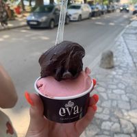 raspberry and dark chocolate   at Gelateria Eva in Zadar