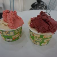 Peach and strawberry / Peach and blueberry  at Gelateria Eva in Zadar