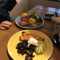 Mushrooms, avo smash, sweet potato and poached egg  at Zenith in Porto