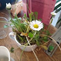  at L'instant in Tours