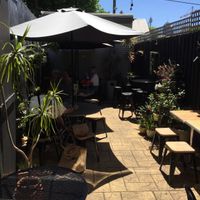 backyard area at Gathered Kitchen in Glebe