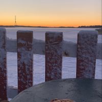 Cinnamon bun  at Regatta in Helsinki