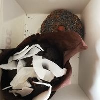 Choco cupcake & almond cookie at Zoya Shop 2 in Sofia