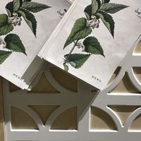 Locale at Shake Cafe - Del Corso in Florence