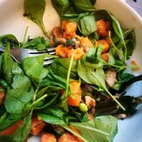 Sweet potatoe salad - filling, yummy, fun textures and flavors at Shake Cafe - Del Corso in Florence