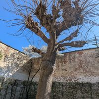  at de Broers van Julienne in Antwerpen