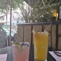 Cocktails at Botanique in Hasselt