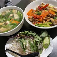 House vegan wonton, sautéed kung pao garden w mock chicken  at Pho Fresh in Rancho Cordova