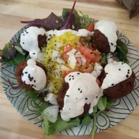 Falafel at Fusiona Gastrobar in Merida