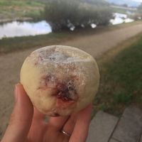 Raspberry bun! at Boulangerie L'Oiseau Bleu in Kyoto