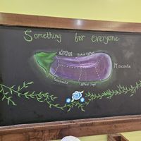  at Green Vegetarian Cuisine - Quarry Market in San Antonio