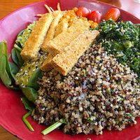 Quinoa Salad 🥗 at Green Vegetarian Cuisine - Quarry Market in San Antonio