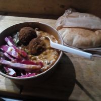  at Plantkind in Shrewsbury