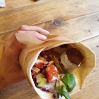 The Wrap! at Plantkind in Shrewsbury