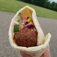 Falafel wrap at Plantkind in Shrewsbury